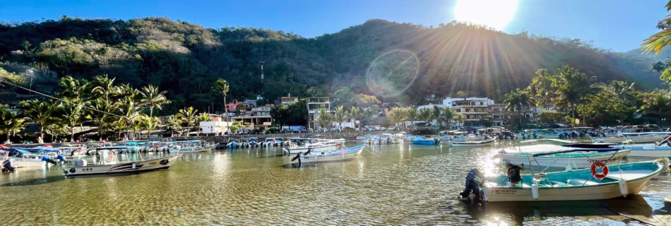 Small boats and fishing boats anchored in the bay of Boca de Tomatlan