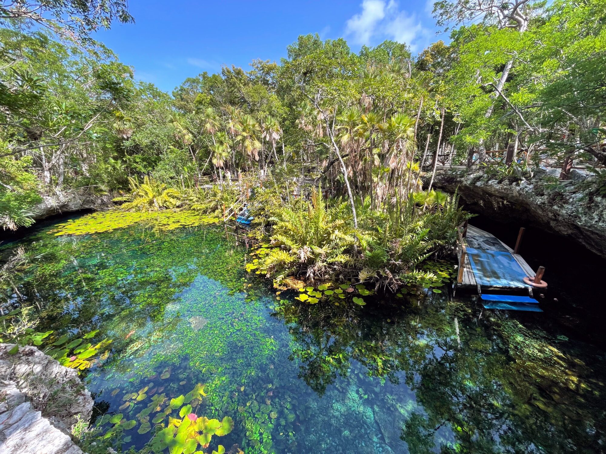 Cenote Nicte-Ha in Tulum, Mexico