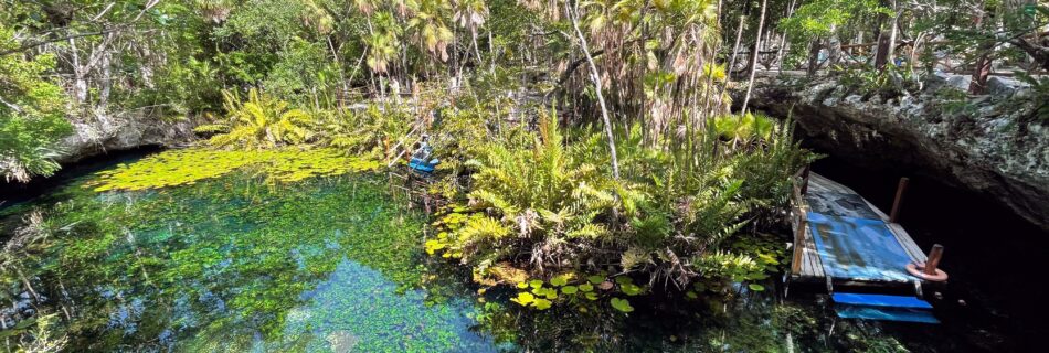 Cenote Nicte-Ha in Tulum, Mexico